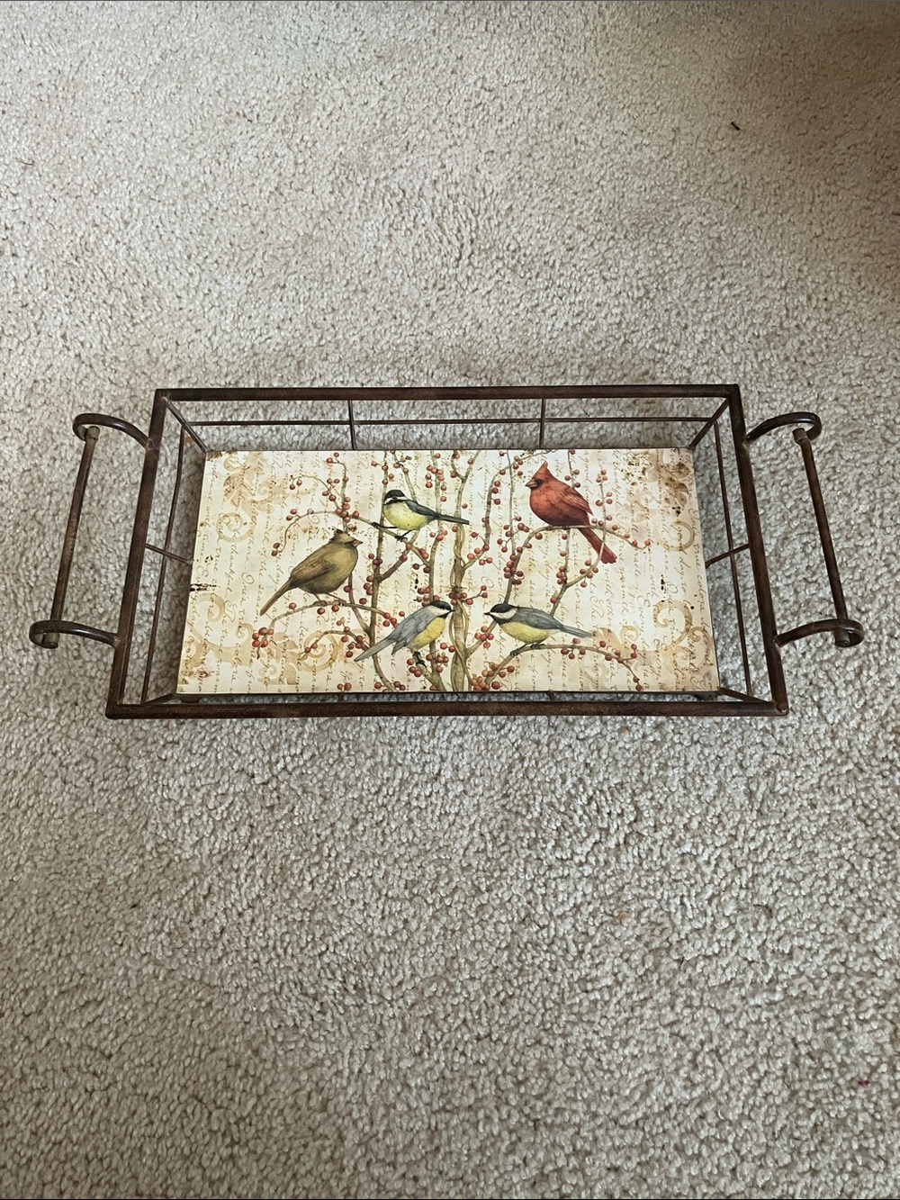 Tim Coffey Birds On Fruit Tree Tin Serving Tray Wall Decoration w/ Handles